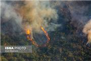 هشدارهای کارشناسی  وقوع آتش‌سوزی در جنگل‌ها و مراتع کشوروانفعال سازمان‌ جنگلهاوسازمان محیط زیست!!
