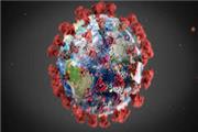 شمار فوتیان کرونا در جهان نزدیک به 587 هزار نفر/شمار مبتلایان کروناویروس جدید در جهان به 13 میلیون و 692 هزار و 919