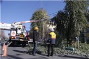 59 اکیپ عملیاتی در سراسر استان ، اقدام فراگیر تعمیرات و اصلاح شبکه ها در یزد