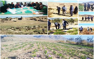 استان یزد جز استانهای برتر در اجرای پروژه ترسیب کربن
