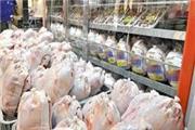 ادامه روند توزیع گوشت مرغ گرم به قیمت مصوب در استان یزد